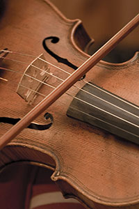 violino educational music academy